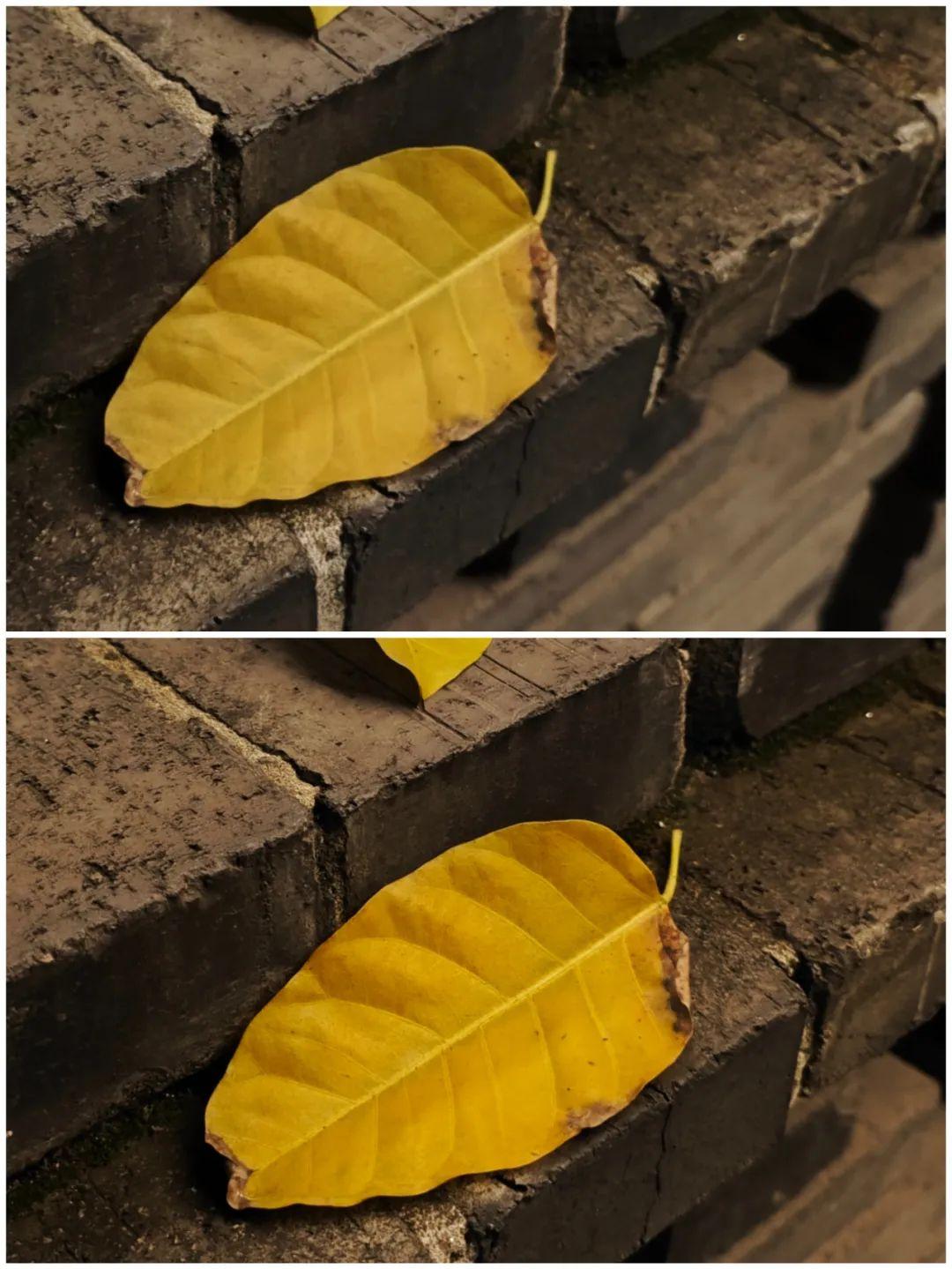 https://img.9xun.com/newstatic/35704/077b4f1acdcdbf18.jpg